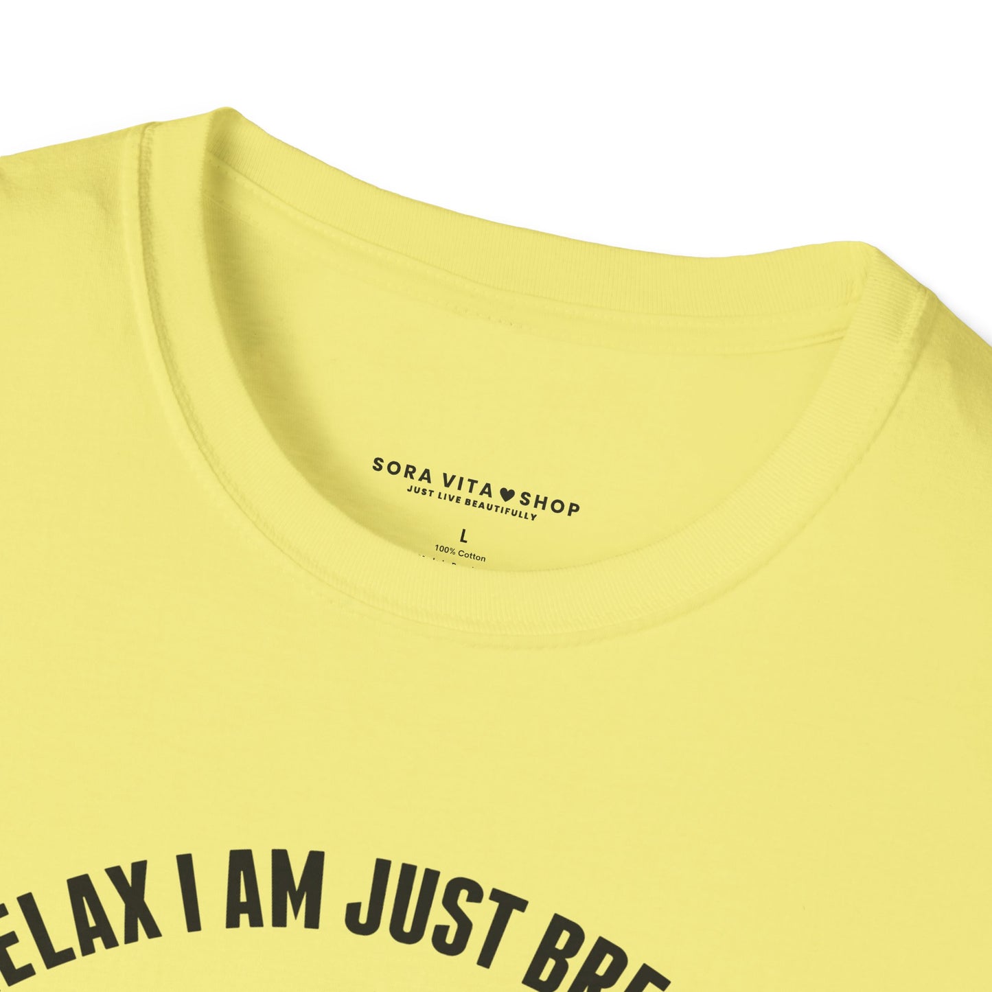 Funny Billiards T‑Shirt | “Relax I’m Just Breaking Your Balls” Unisex Softstyle Tee for Pool Players & Game Night Style